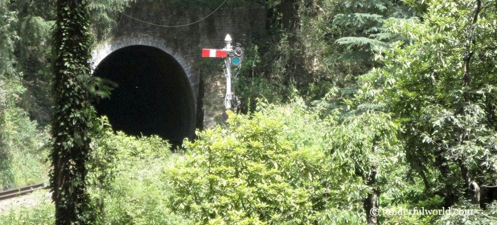 [Shimla, Himachal Pradesh, India] Exploring Heritage on a Train Journey