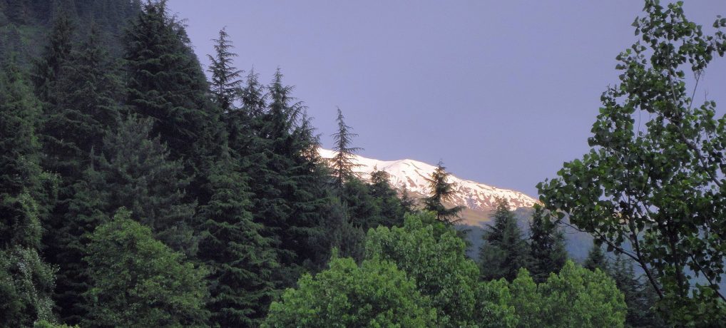 [Himachal Pradesh, India] A Cool Summer in Himachal Pradesh